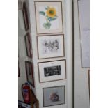 Clare Du Bosley, two framed drawings together with two framed watercolours.