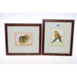 DM & EM Alderson, two small framed bird studies.