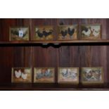 W. Edwards oil on board, chicken/poultry paintings (8).