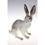 Winstanley Arctic hare, size 9.