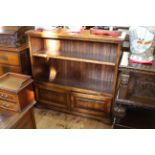 Clover oak cabinet bookcase, the open top with adjustable shelf above two panelled doors, 112.