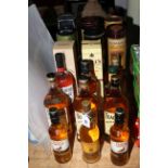 Eighteen bottles of Whisky including Monkey Shoulder, Famous Grouse, Teacher's, Glenmorangie,