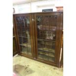 Late 19th/early 20th Century mahogany double glazed panel door bookcase on plinth base,