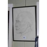 Framed pencil sketch profile of a Gentleman, signed lower right, 35cm by 24.5cm.