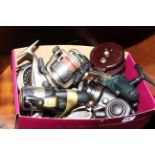 Box of fishing reels including Shimano, Extremist, Freespirit, Daiwa, J.W.