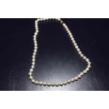Pearl necklace with diamond clasp.