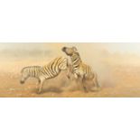 Tony Forrest ARR Framed oil on canvas, signed 'Zebras Fighting' 62cm x 150cm