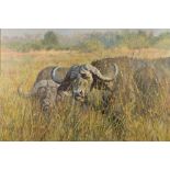 Tony Forrest ARR Framed oil on canvas, signed 'Buffalo, Okavango Delta, Botswana' 84cm x 125cm