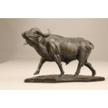 Ian Greensitt, limited edition bronze, ARR cape buffalo, No1 of 12, 2014. 22cm high 33cm long with