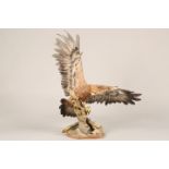 Limited edition Boehm Bone Porcelain figure, Golden Eagle No25/100, model No10189 dated 1989. Hand