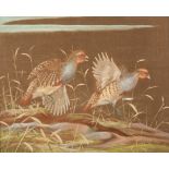 Ralston Gudgeon RSW (Scottish 1910-1984) ARR Framed oil on linen, signed 'Pair Grey Partridges' 50cm