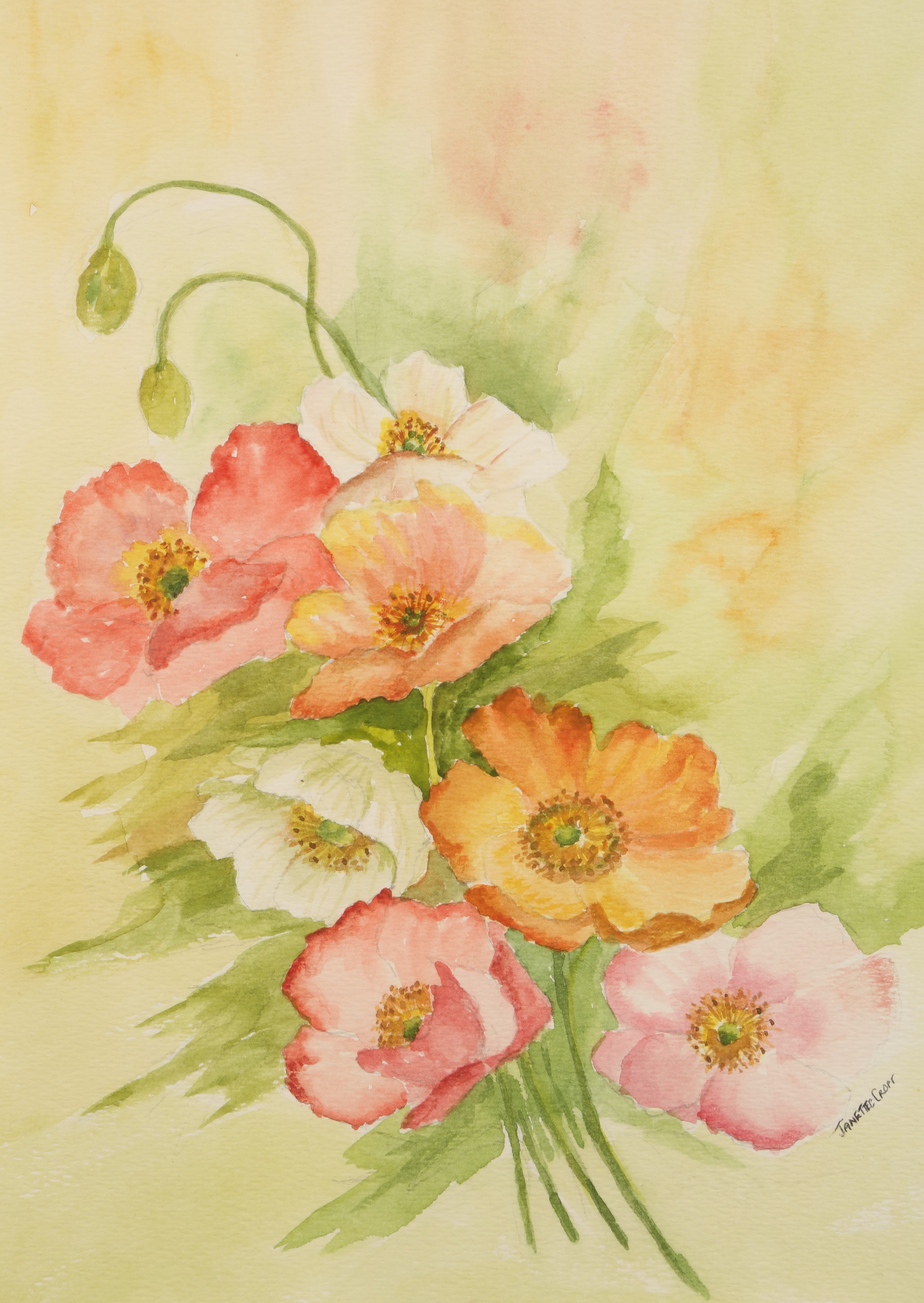 Janette Simpson Framed watercolour ARR, signed 'Poppies' 32cm x 23cm
