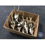 Eleven roe deer skulls with antlers mounted on shields