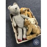 A box of mid 20th century teddy bears