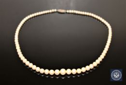 Fine quality strap of graduated pearls on a white gold diamond clasp