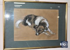 Norman Stansfield Cornish (1919-2014), 'Gyp', portrait of a border collie, pastel on brown paper,