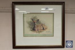 After David Shepherd : Young Kudu, colour print, signed in pencil, 28 cm x 22 cm, framed.
