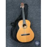 A Spanish acoustic guitar in carry bag