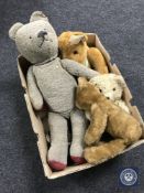 A box of mid 20th century teddy bears