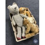A box of mid 20th century teddy bears