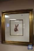 Mandy Shepherd : Portrait of a hare, watercolour, signed, 20 cm x 23 cm, framed,