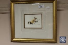 Mandy Shepherd : Red Squirrel, watercolour, 10 cm x 10 cm, signed, framed,
