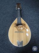 A Romanian Reghin flat-back mandolin