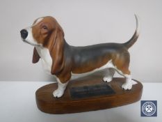 A Beswick Connoisseur model of a Basset hound on wooden stand