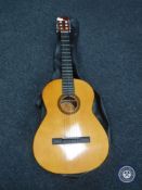 An Almeria acoustic guitar in carry bag