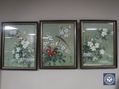 Three framed Japanese watercolour drawings depicting exotic birds