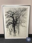 Donald James White : Jesmond Dene, charcoal, 59 cm x 84 cm, framed.