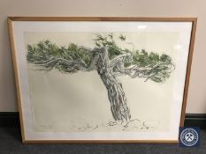 Donald James White : Karpathos Pine, watercolour, 83 cm x 60 cm, dated '83', framed.