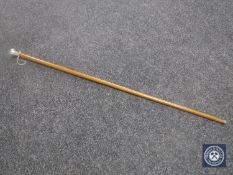 A walking cane with silver pommel