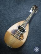 A mandolin, labelled Lucciani, Napoli,
