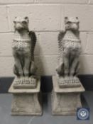 A pair of composition griffin garden figures on stands,