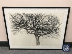 Donald James White : Carfunus Betulus Incisia, charcoal and wash, signed, dated 14 Nov '83,