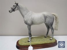 A Border Fine Arts figure - Thoroughbred Stallion, grey, number B0241B on wooden plinth,