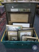 A box of assorted pictures and prints including colour book plates of birds,