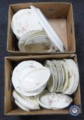 Two boxes of Connaught Oriental Ivory dinner ware