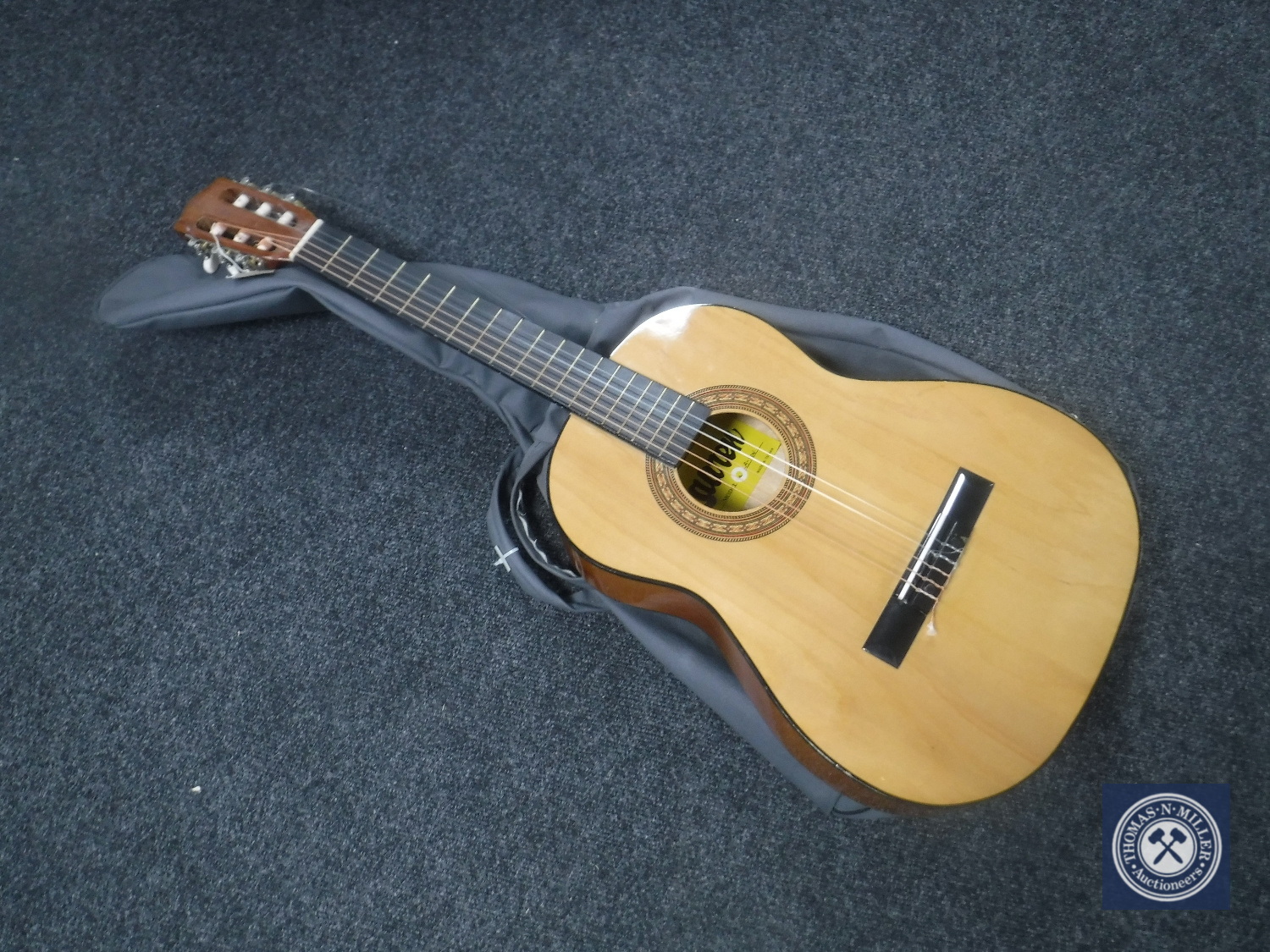 An acoustic guitar in carry bag