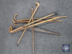 A bundle of seven wooden walking sticks