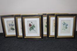 A set of six Pierre Redoute prints depicting flowers