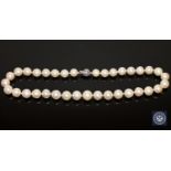 A 14ct white gold pearl and diamond necklace, thirty-five South Sea pearls,