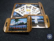 Three butterfly trays