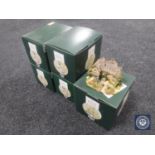 Five boxed Lilliput Lane The World of Beatrix Potter figures including Hill Top, Bridge House,