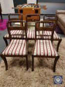 A set of five mahogany Regency style armchairs in striped upholstery