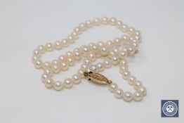 A cultured pearl necklace on 9ct yellow gold clasp