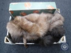 Box of five fox fur stoles