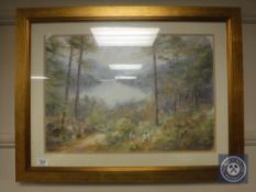 Joe Hush : Forest Glade, 53 cm x 36 cm , signed, framed.