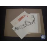 Donald James White : Reclining Nude Study, colour chalks, signed, dated Sept '89, 42 cm x 59 cm,